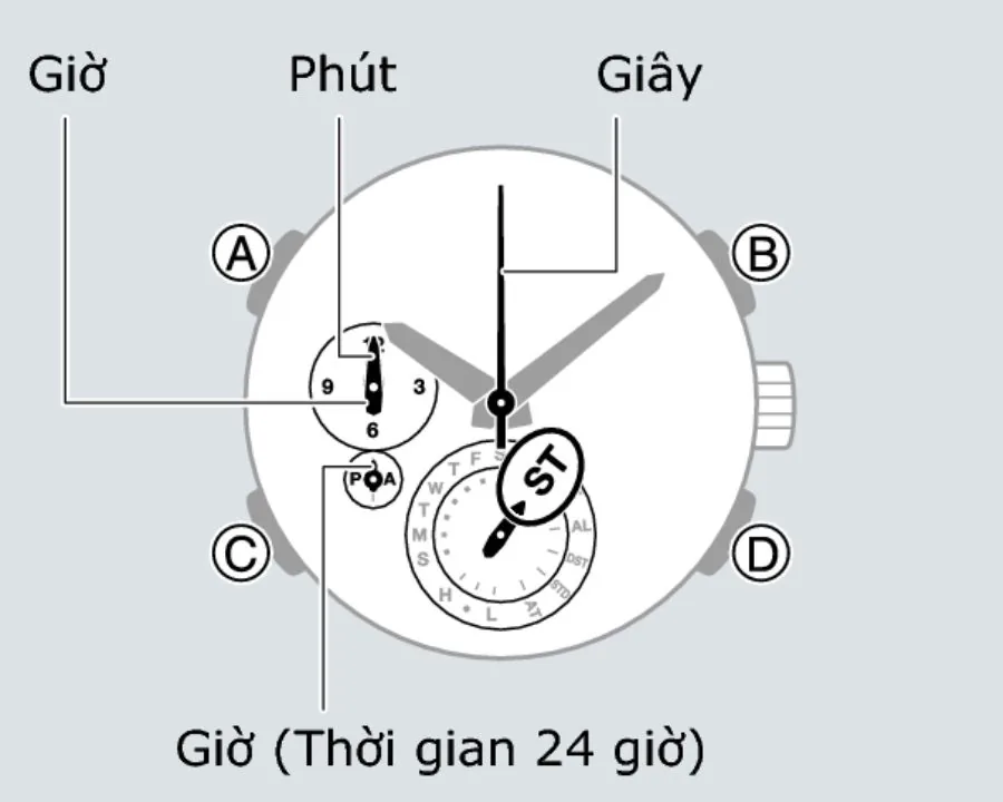 Hướng dẫn sử dụng chế độ bấm giờ